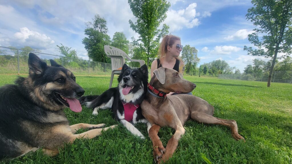 Michelene sits in the grass with her three dogs at a dog park. 