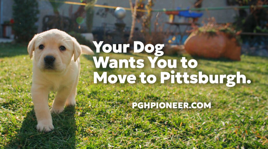 A golden retriever prances in a yard. Text says 'Your Dog Wants You to Move to Pittsburgh' 